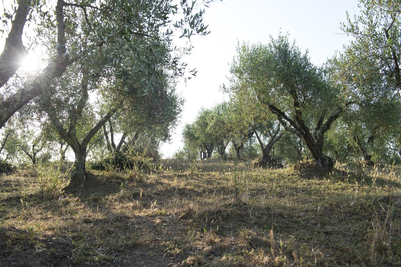 Agriturismo Poggio Corbello Villa La Pesta Exterior photo