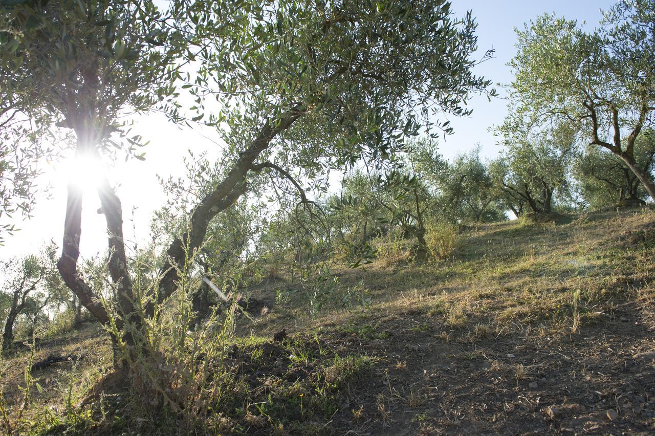 Agriturismo Poggio Corbello Villa La Pesta Exterior photo