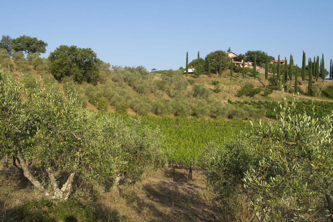 Agriturismo Poggio Corbello Villa La Pesta Exterior photo