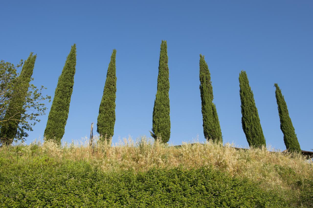 Agriturismo Poggio Corbello La Pesta Exterior photo